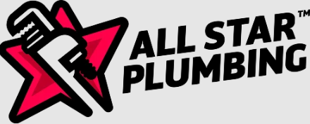 All-Star Plumbing of the Triad, Inc.